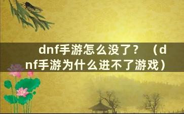 dnf手游怎么没了？ （dnf手游为什么进不了游戏）